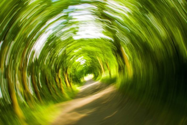 "Burn in" statt "Burn out" - Stärke Deine Resilienz